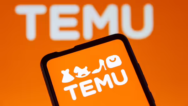 TEMU_PE_20241101